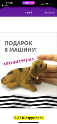 Миниатюра 8