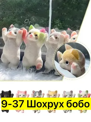 Миниатюра 5