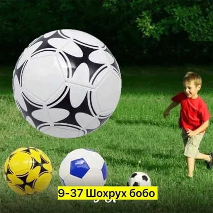 Миниатюра 3