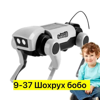 Миниатюра 4