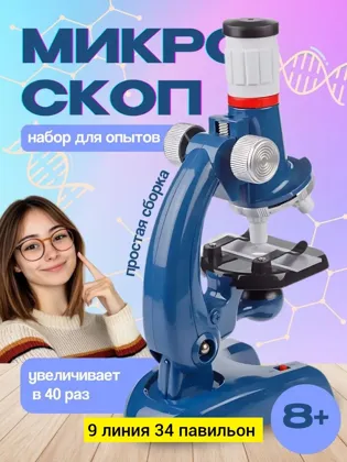 Миниатюра 3
